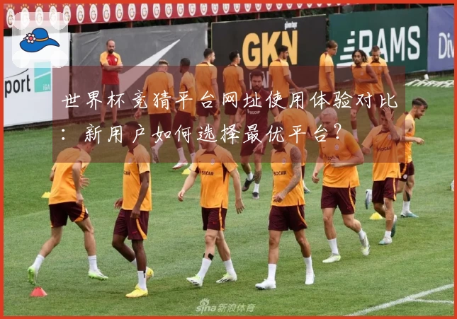 世界杯竞猜平台网址使用体验对比：新用户如何选择最优平台？