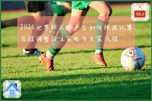 2026世界杯买球平台如何根据比赛日程调整投注策略与决策流程