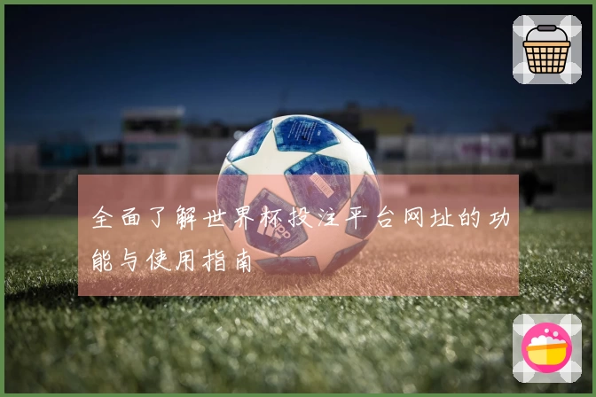 全面了解世界杯投注平台网址的功能与使用指南
