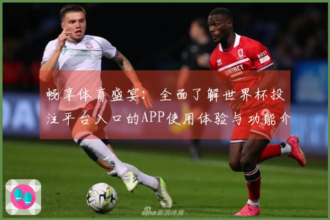 畅享体育盛宴：全面了解世界杯投注平台入口的APP使用体验与功能介绍