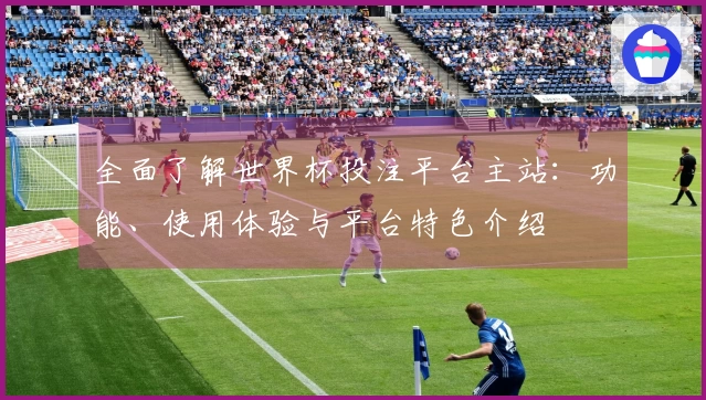 全面了解世界杯投注平台主站：功能、使用体验与平台特色介绍