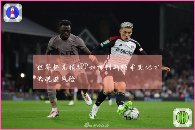 世界杯竞猜APP如何判断赔率变化才能规避风险