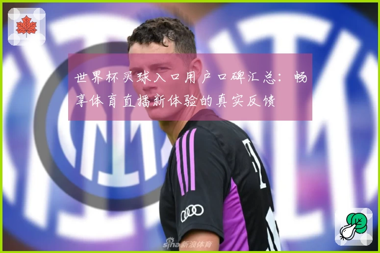 世界杯买球入口用户口碑汇总:畅享体育直播新体验的真实反馈