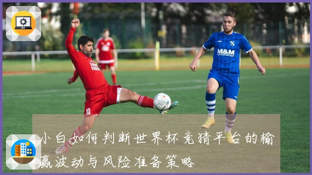 小白如何判断世界杯竞猜平台的输赢波动与风险准备策略