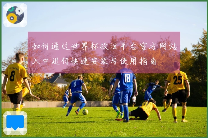如何通过世界杯投注平台官方网站入口进行快速安装与使用指南