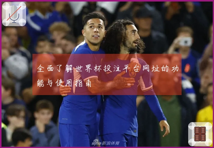 全面了解世界杯投注平台网址的功能与使用指南