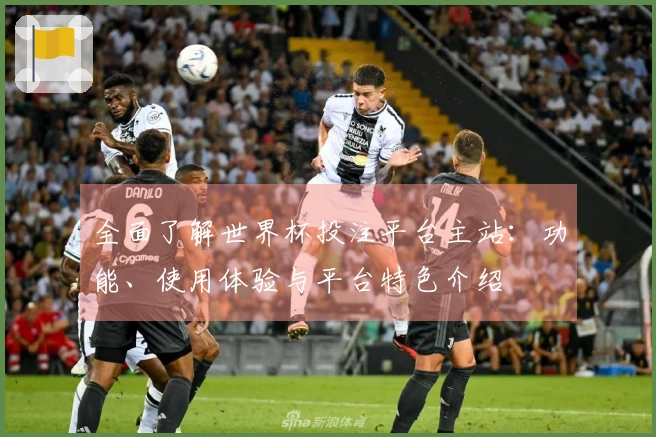 全面了解世界杯投注平台主站：功能、使用体验与平台特色介绍