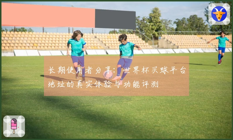 长期使用者分享：世界杯买球平台地址的真实体验与功能评测