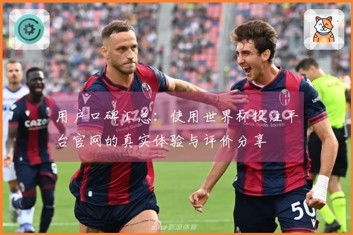 用户口碑汇总：使用世界杯投注平台官网的真实体验与评价分享