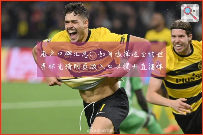 用户口碑汇总：如何选择适合的世界杯竞猜网页版入口以提升直播体验