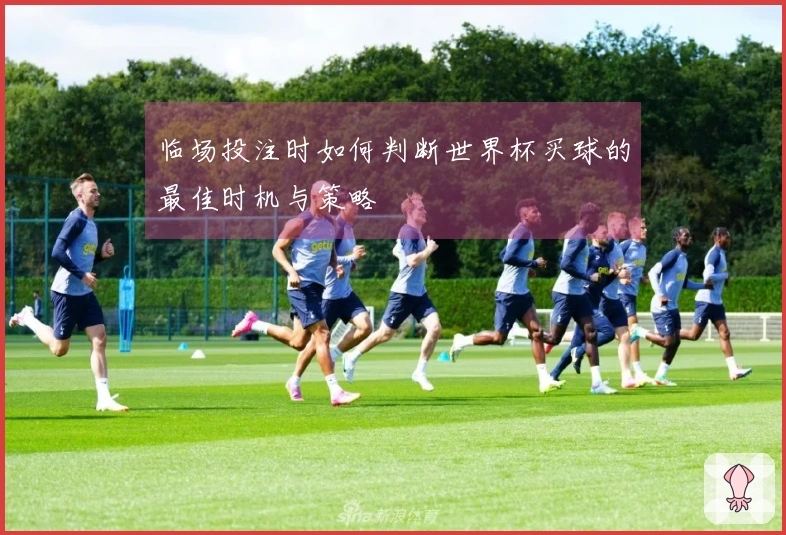 临场投注时如何判断世界杯买球的最佳时机与策略