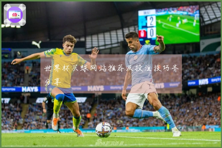 世界杯买球网站推荐及投注技巧齐分享
