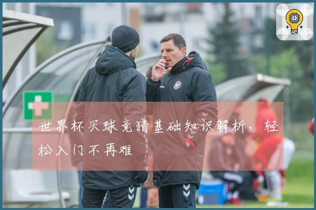 世界杯买球竞猜基础知识解析，轻松入门不再难