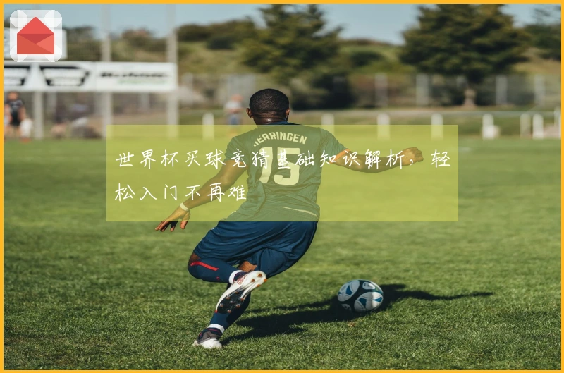 世界杯买球竞猜基础知识解析,轻松入门不再难